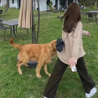 恐吓运动